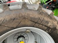 Case IH Puma 200 CVX med frontlæsser - Traktorer - Traktorer 4 wd - 7