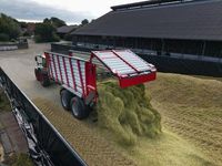 Krampe Radium 830 Bundkædevogn - Vogne - Frakørselsvogne græs - 7