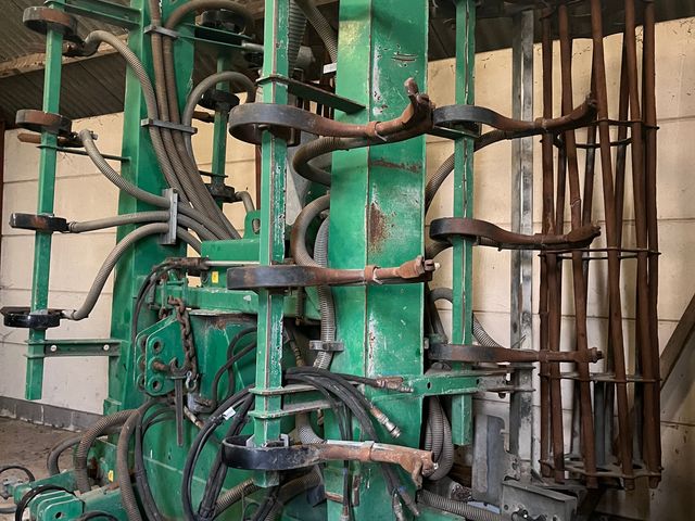 Samson gyllenedfælder