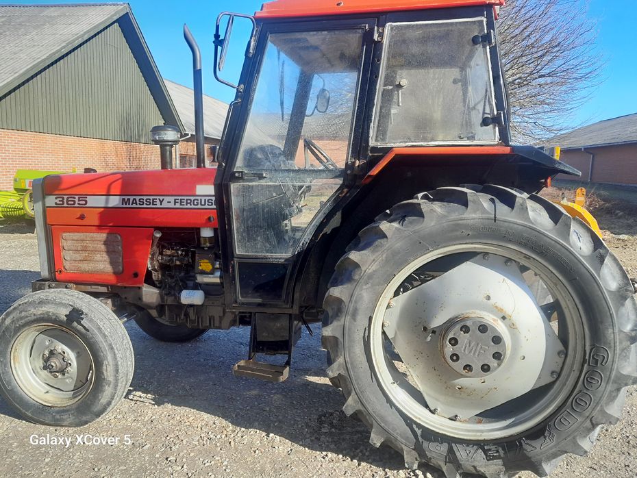 Massey Ferguson 365 365 - Traktorer - Traktorer 2 wd - 5