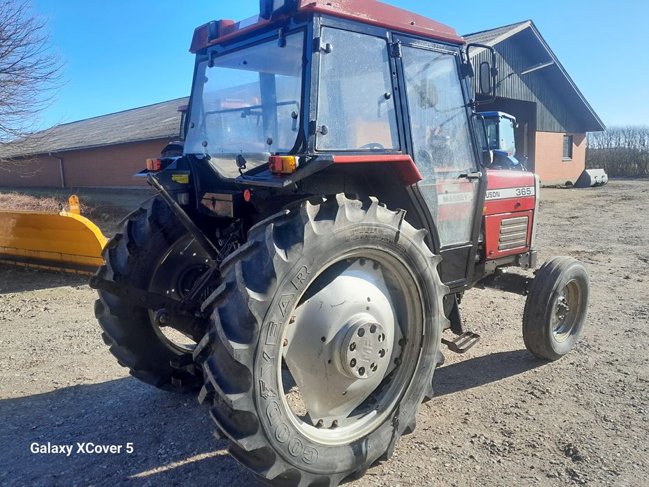 Massey Ferguson 365 365 - Traktorer - Traktorer 2 wd - 3