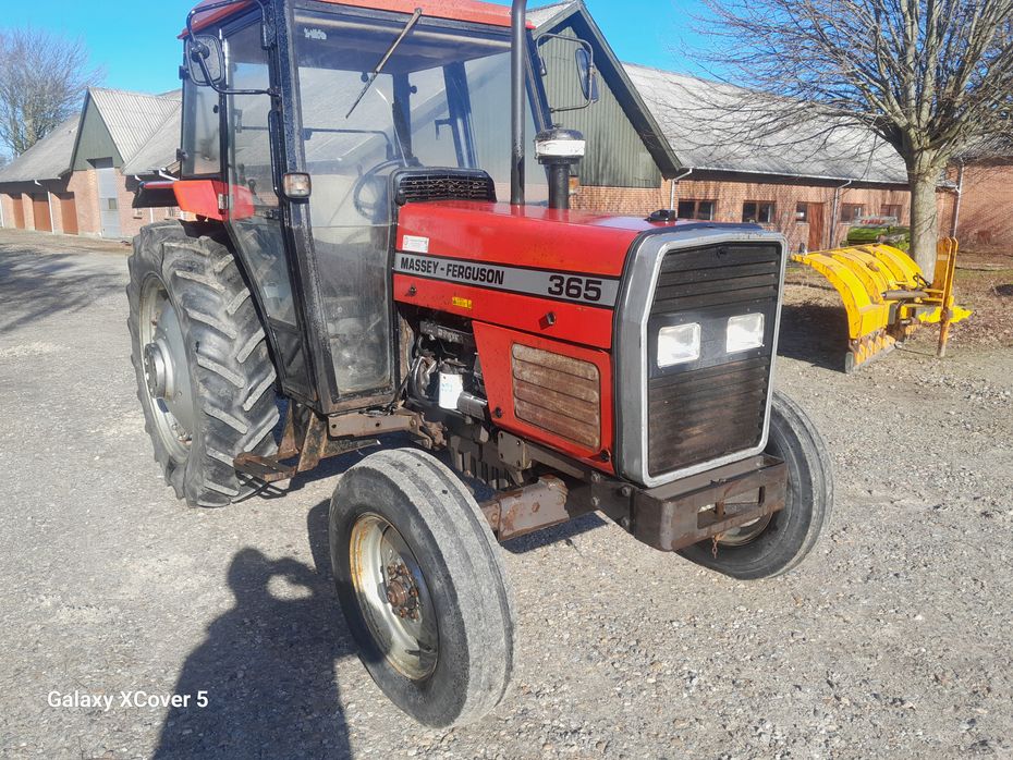 Massey Ferguson 365 365 - Traktorer - Traktorer 2 wd - 2