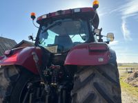 Case IH Puma 225 CVX Frontpto - Traktorer - Traktorer 4 wd - 4