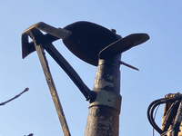 Samson RV 150 - Gyllemaskiner - Gylleomrørere - 6