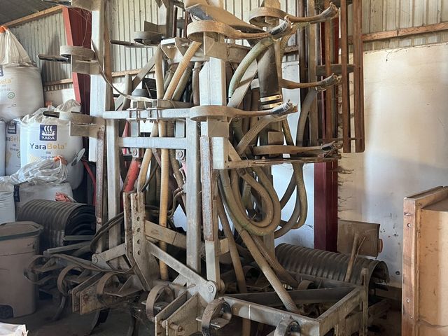 Samson gyllenedfælder