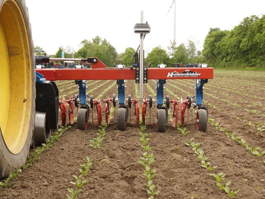 Hatzenbichler 12R6MF 50 cm - Roer/Raps/Spinat - Roebehandling - Roerækkerensere - 6