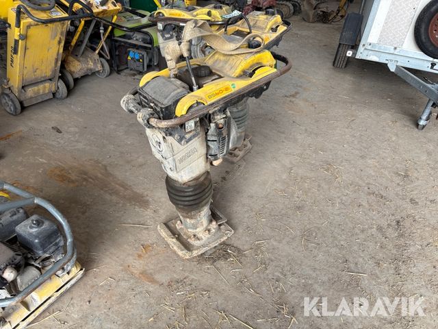 Wacker Neuson Bs60-2i