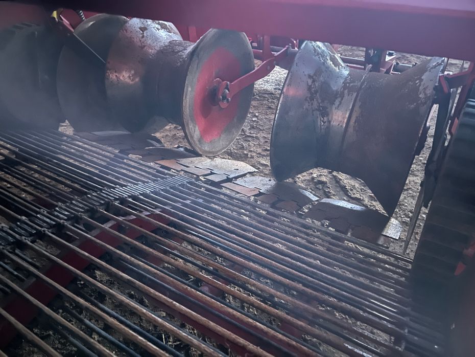 Grimme SE-170-60-NB XXL - Kartoffelmaskiner - Optagere - 6