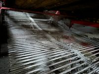 Grimme EVO 290 ClodSep - Kartoffelmaskiner - Optagere - 5