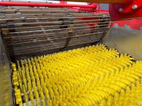 Grimme CS-170 RotaPower XL - Kartoffelmaskiner - Stenstrenglæggere - 8