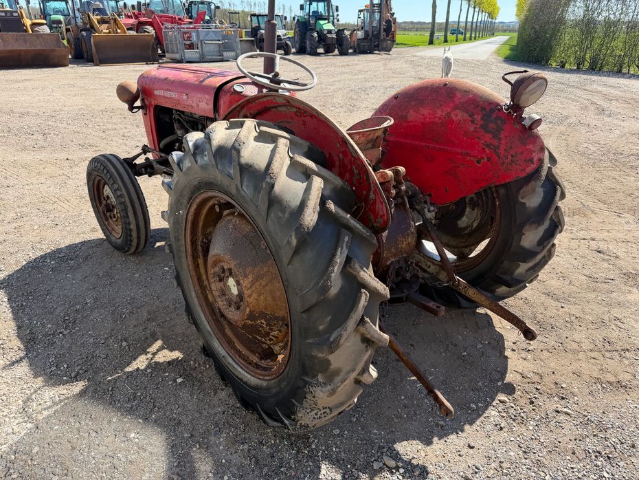 Massey Ferguson 35 Fint projekt traktor - Traktorer - Traktorer 2 wd - 4