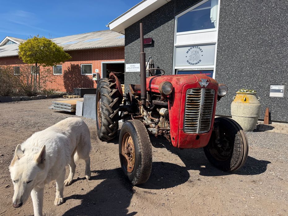 Massey Ferguson 35 Fint projekt traktor - Traktorer - Traktorer 2 wd - 1