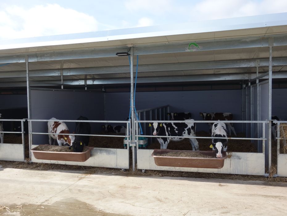 NOC Agro Kalvefælles rækkehytter - Staldmaskiner - Kalvehytter - 2