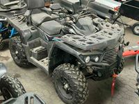 AODES PATHCROSS 650 L (T3A)