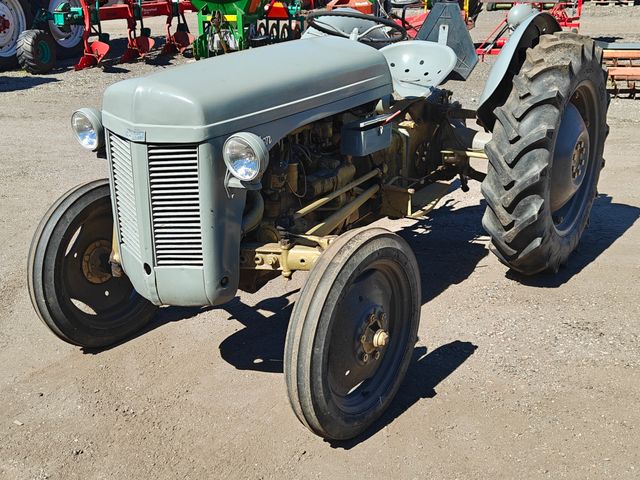 Ferguson 31