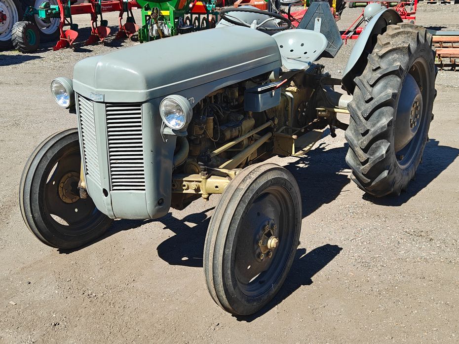 Ferguson 31 - Traktorer - Traktorer 2 wd - 1