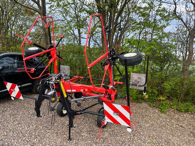 Maschio levante 540
