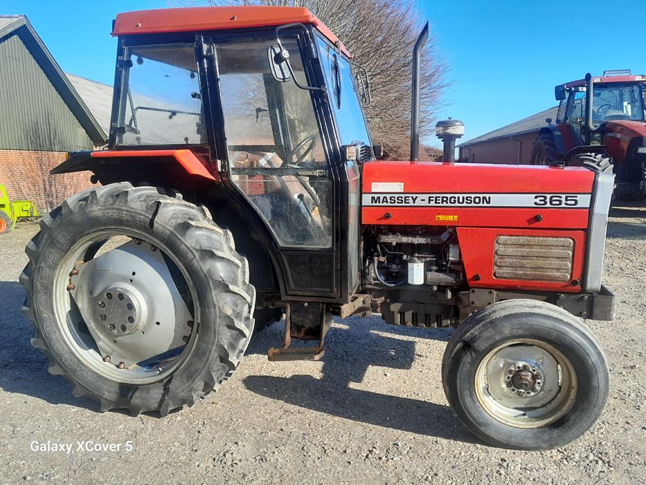 Massey Ferguson 365 - Traktorer - Traktorer 2 wd - 2