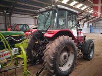 Massey Ferguson 4255 med ny kobling - Traktorer - Traktorer 4 wd - 2