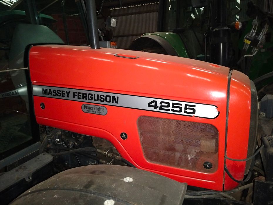 Massey Ferguson 4255 med ny kobling - Traktorer - Traktorer 4 wd - 4