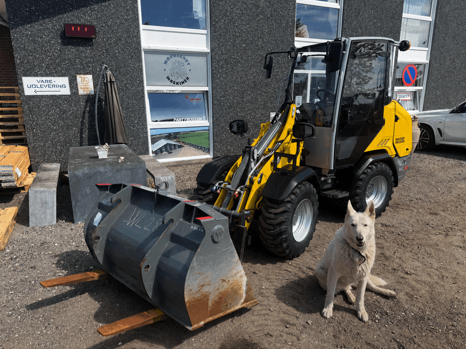Wacker Neuson WL28 LUKKET KABINE, SKOVL OG GAFLER, HYDRAULISK SKIFT - Læssemaskiner - Minilæssere - 1