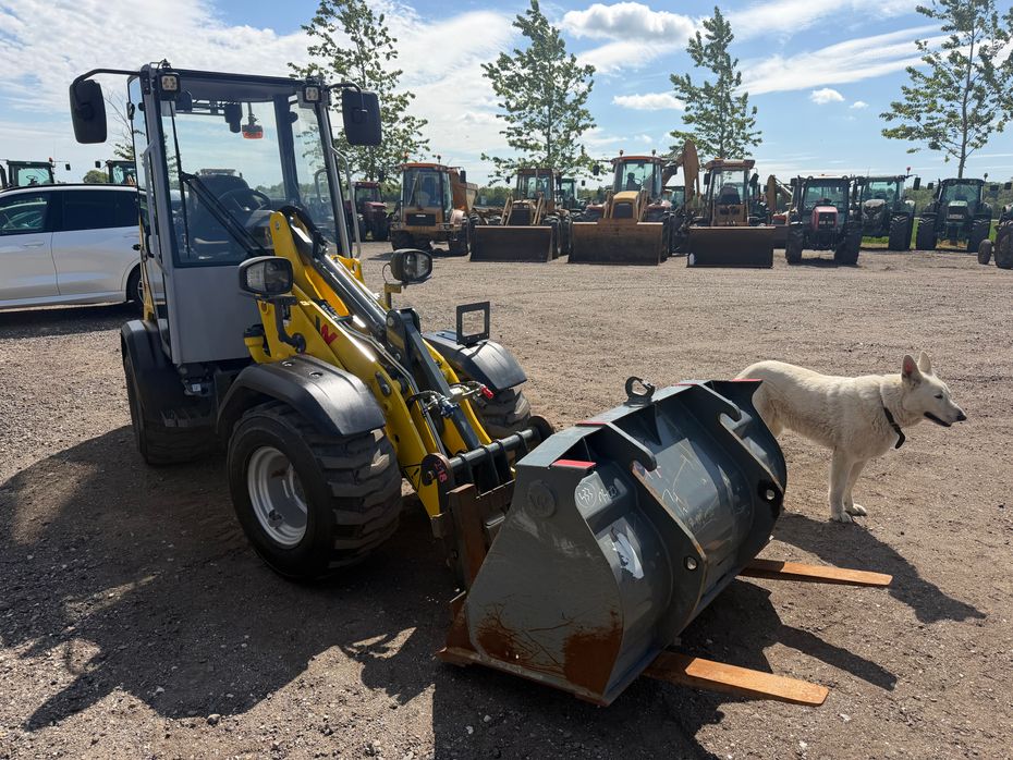Wacker Neuson WL28 LUKKET HUS, SKOVL OG GAFLER , HYDRAULISK SKIFT - Læssemaskiner - Minilæssere - 2