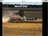 Massey Ferguson 9380 Delta Hybrid GII - Høstmaskiner - Mejetærskere - 4