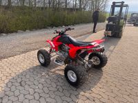 Billede 6