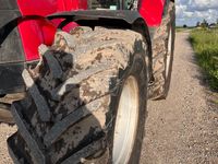 Case IH Puma 225 CVX - Traktorer - Traktorer 4 wd - 4