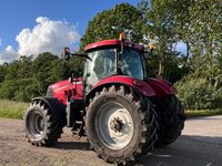 Case IH Puma 225 CVX - Traktorer - Traktorer 4 wd - 3