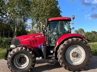 Case IH Puma 225 CVX - Traktorer - Traktorer 4 wd - 2
