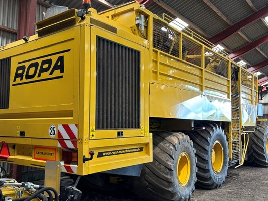 Ropa Tiger 3 - Roebehandling - Roeoptagere - 2