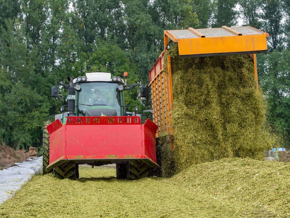 GML Majsdozer 400 - Majsmaskiner - Majsdozerblade - 4