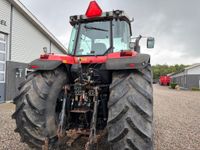 Massey Ferguson 8280 PowerControl. Stor stærk traktor til små penge - Traktorer - Traktorer 4 wd - 17