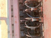 Hesston 4900 - Pressere - Bigballe - 9
