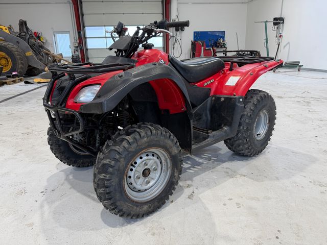 Suzuki OZARK 250