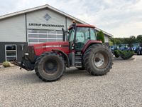 Case IH MX220 med den store 8.3 L Motor - Traktorer - Traktorer 4 wd - 2