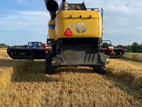 New Holland CX8.90 SLH TIL OMGÅENDE LEVERING! KAN PRØVES I DRIFT! - Høstmaskiner - Mejetærskere - 11