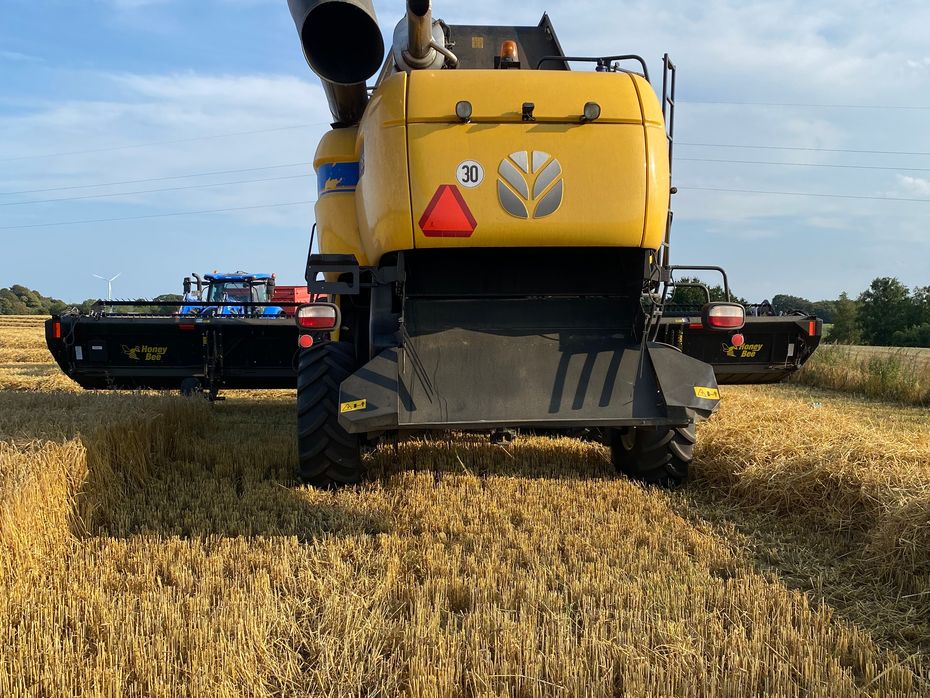New Holland CX8.90 SLH TIL OMGÅENDE LEVERING! KAN PRØVES I DRIFT! - Høstmaskiner - Mejetærskere - 11