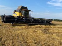 New Holland CX8.90 SLH TIL OMGÅENDE LEVERING! KAN PRØVES I DRIFT! - Høstmaskiner - Mejetærskere - 12