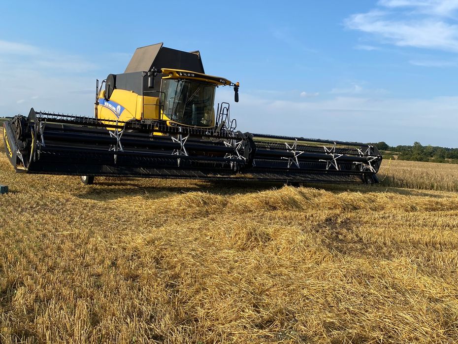 New Holland CX8.90 SLH TIL OMGÅENDE LEVERING! KAN PRØVES I DRIFT! - Høstmaskiner - Mejetærskere - 12