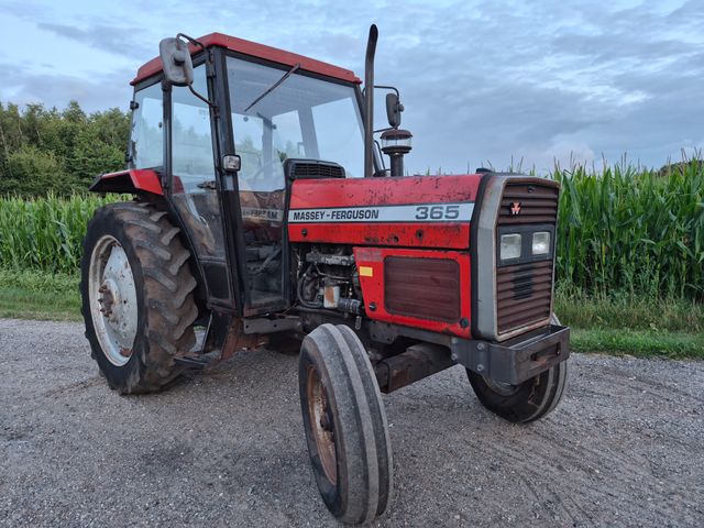 Massey Ferguson 365