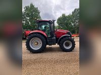 Case IH PUMA 185 CVX - Traktorer - Traktorer 4 wd - 6