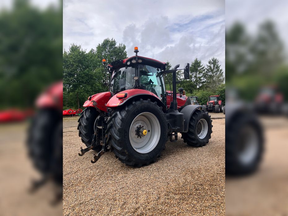 Case IH PUMA 185 CVX - Traktorer - Traktorer 4 wd - 5