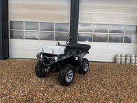 Billede 7