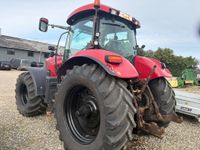 Case IH Puma 225 CVX Med frontpto - Traktorer - Traktorer 4 wd - 3