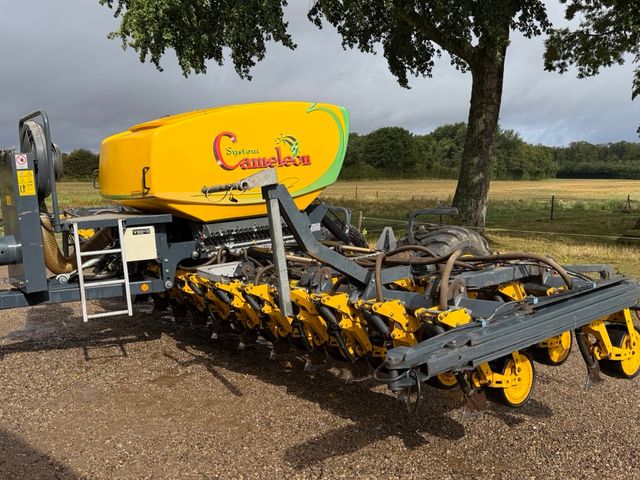 Gothia Cameleon  8M 