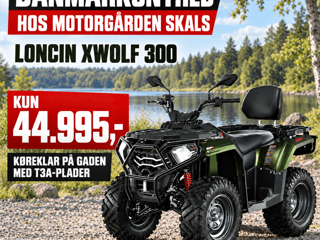 Loncin XWOLF 300 T3a