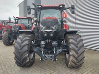 Case IH Puma 165 CVX DEMO - Traktorer - Traktorer 4 wd - 6