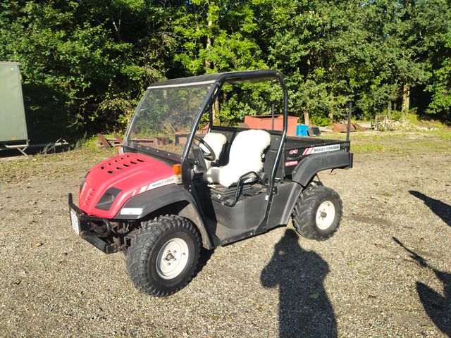 Massey Ferguson MF 20  MD